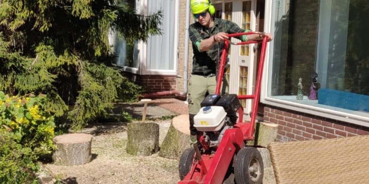 De Hollandse Houthakkers boomstronk verwijderen houtsnippers Boskoop Waddinxveen Gouda Alphen aan den Rijn De Hollandse Houthakkers boomstronk verwijderen houtsnippers Boskoop Waddinxveen Gouda Alphen aan den Rijn